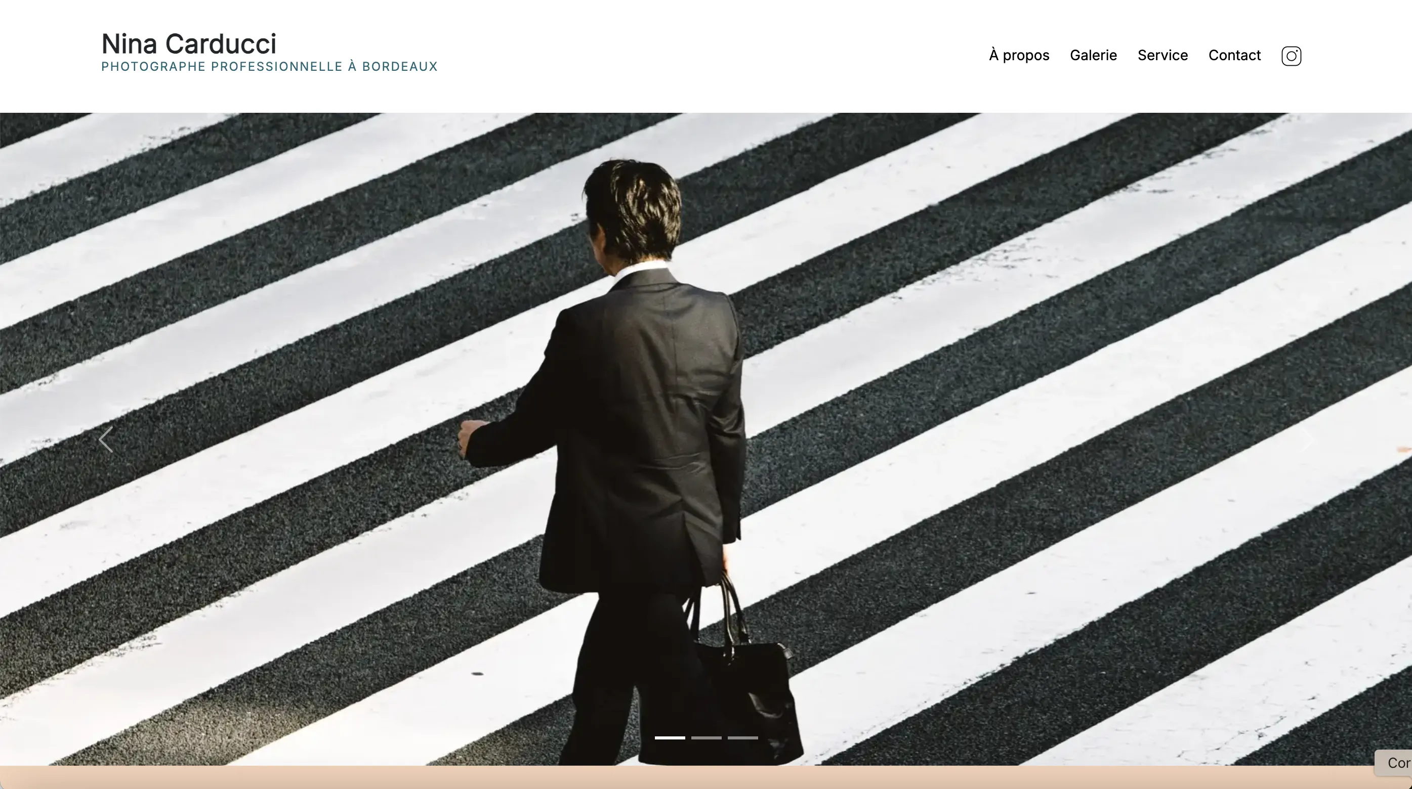Nina Carducci – SEO & Accessibilité